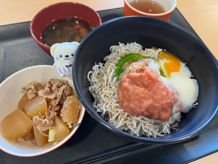 キャステムの明太しらす丼