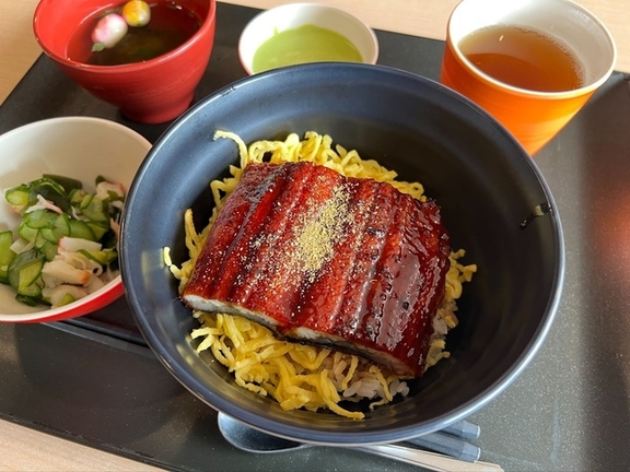 キャステムのうな丼